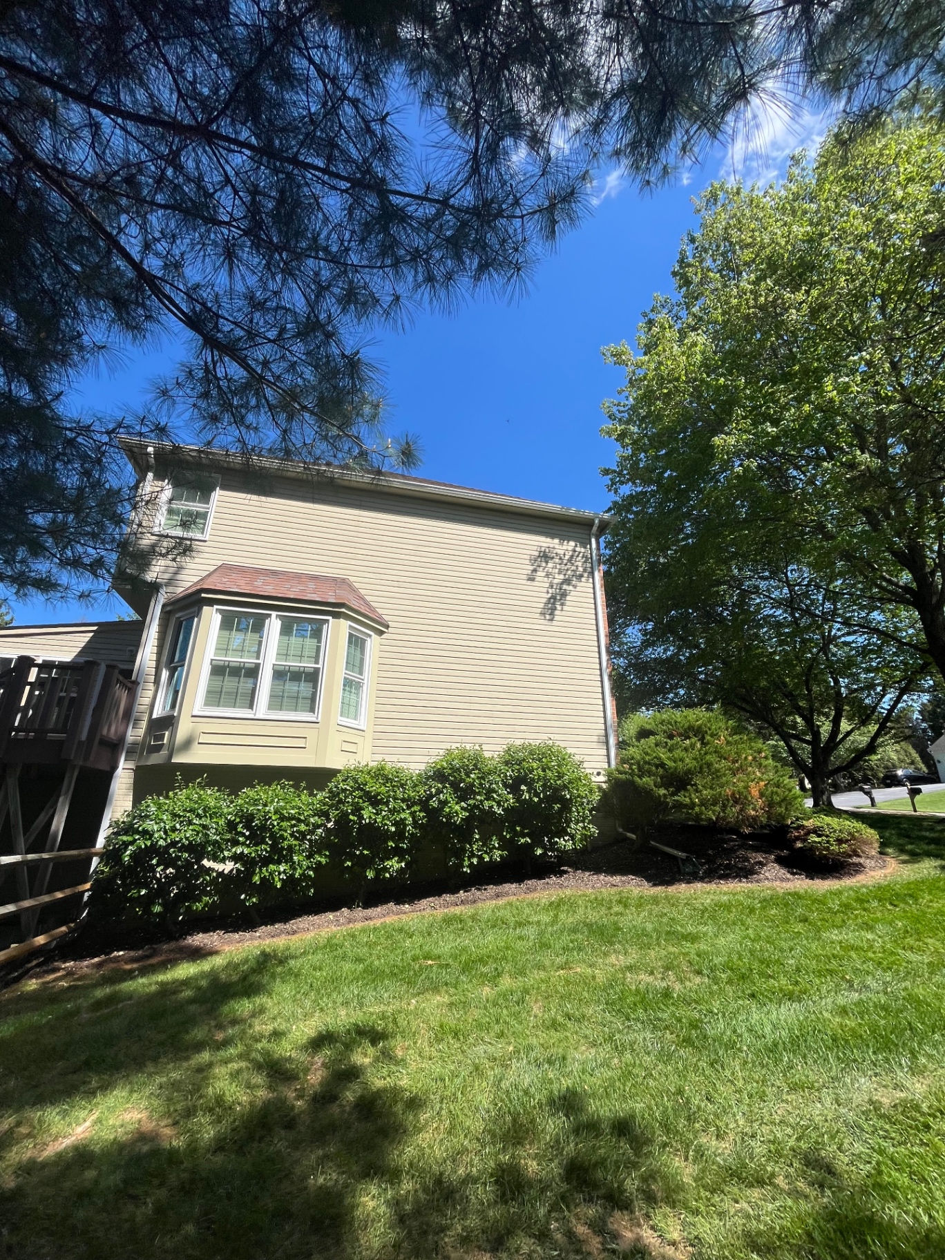 Trimmed shrubs and fresh mulch by a bay window