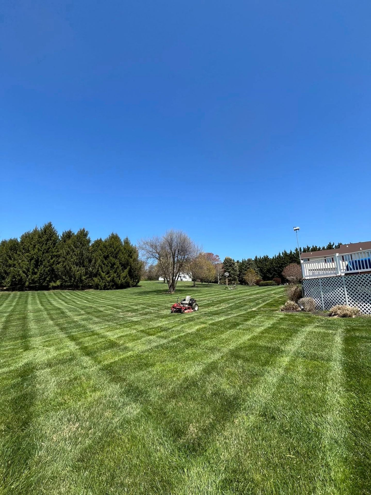 Zero-turn mower striping a wide field