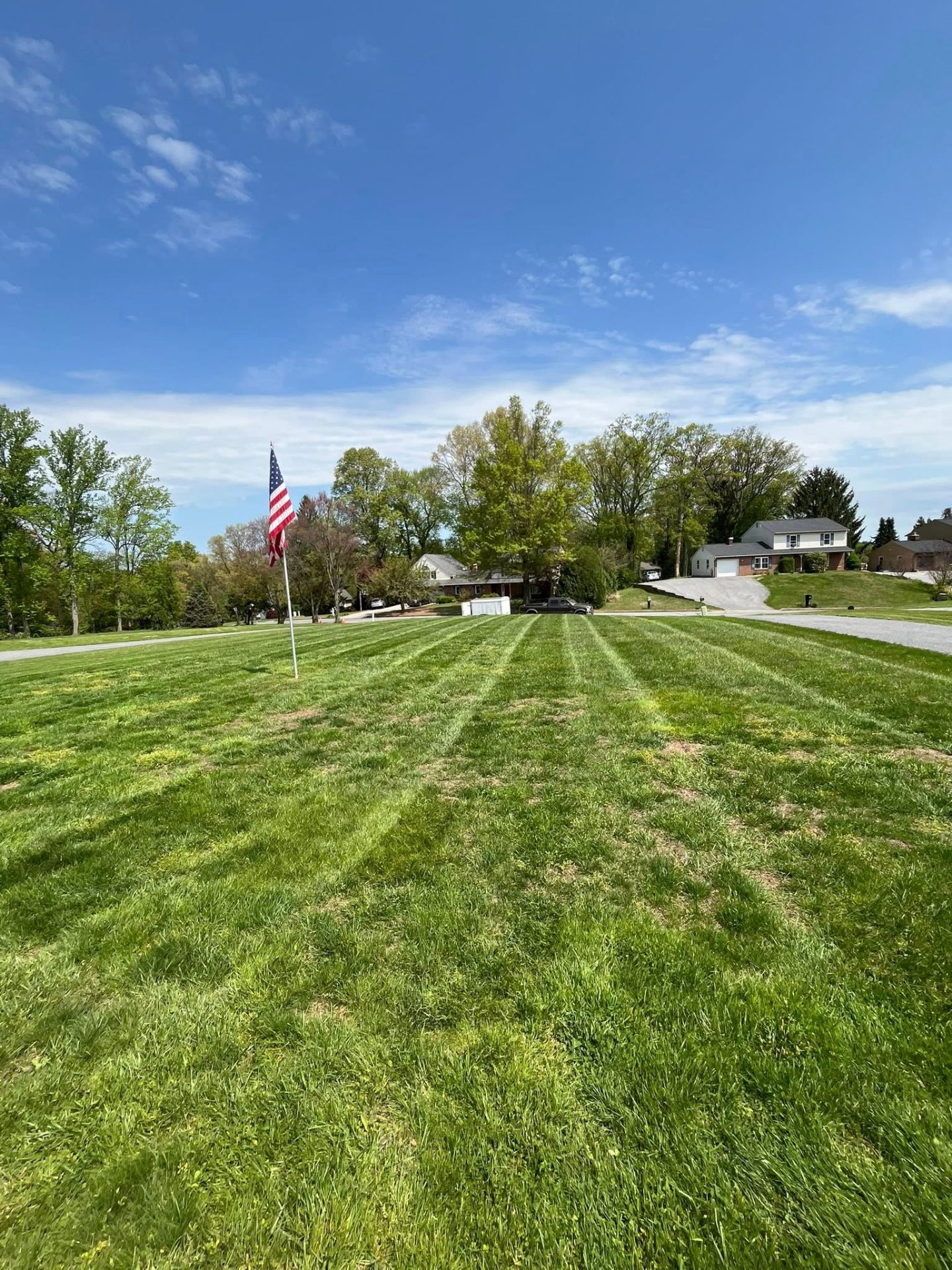 Crisp mowing lines across a front lawn